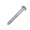 Coach Screws, Hex Head Galvanised