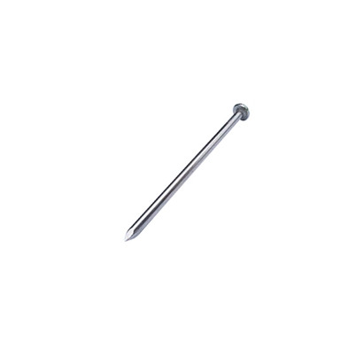 Stainless Steel Round Wire Nail