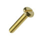 Brass Pan Head Slotted Screw - Machine Thread