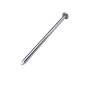 Stainless Steel Round Wire Nail